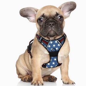 Barkbay No Pull Dog Harness - Reflective - Stars pattern + 4 ft. Leash